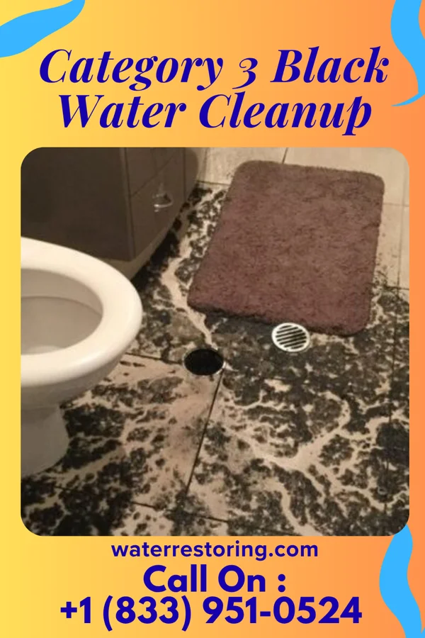 Category 3 Black Water Cleanup in Raleigh Hills, OR