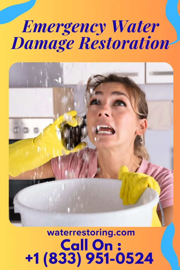 Emergency Water Damage Restoration in Raleigh Hills, OR
